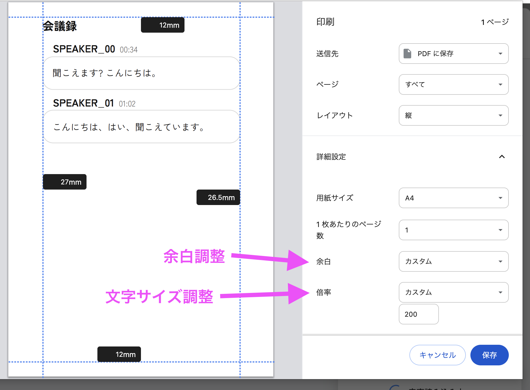 Google Chromeの印刷オプションの例